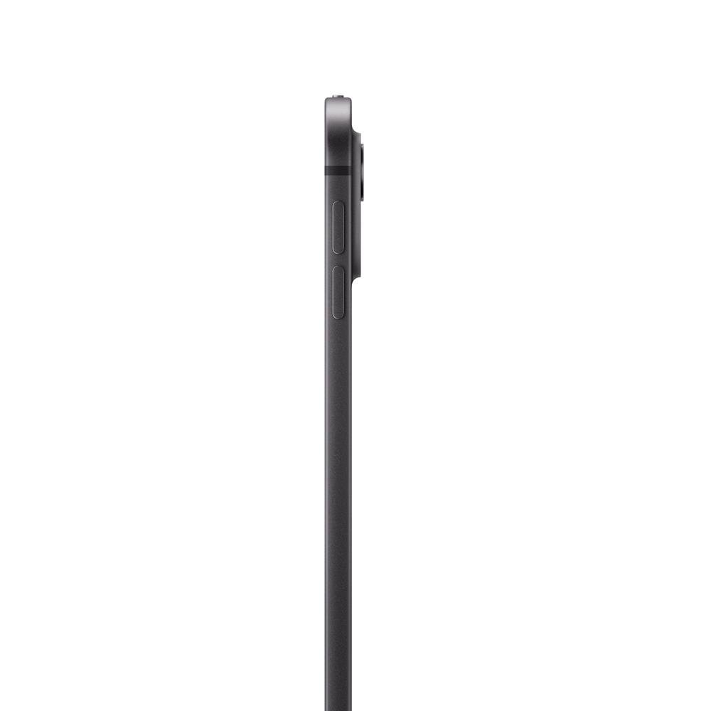 iPad Pro Apple, Tela 13
