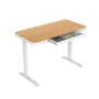 Mesa De Escritório Elétrica Com Altura Ajustável Flexispot Ew9-wm Madeira 120cm
