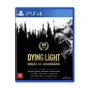 Jogo Dying Light, Edição de Aniversário - PS4