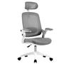 Cadeira De Escritório Elements Astra, Até 100Kg, Ergonômica, Cinza e Branca