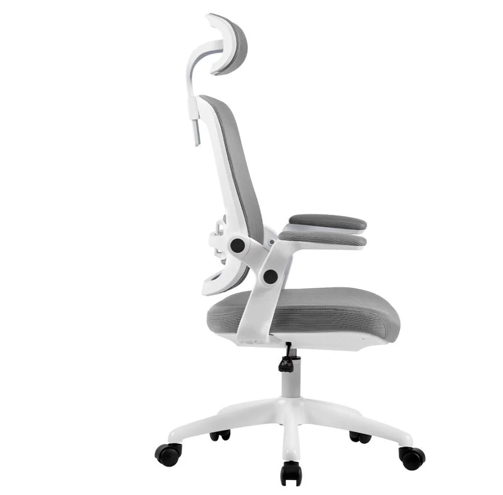 Cadeira De Escritório Elements Astra, Até 100Kg, Ergonômica, Cinza e Branca