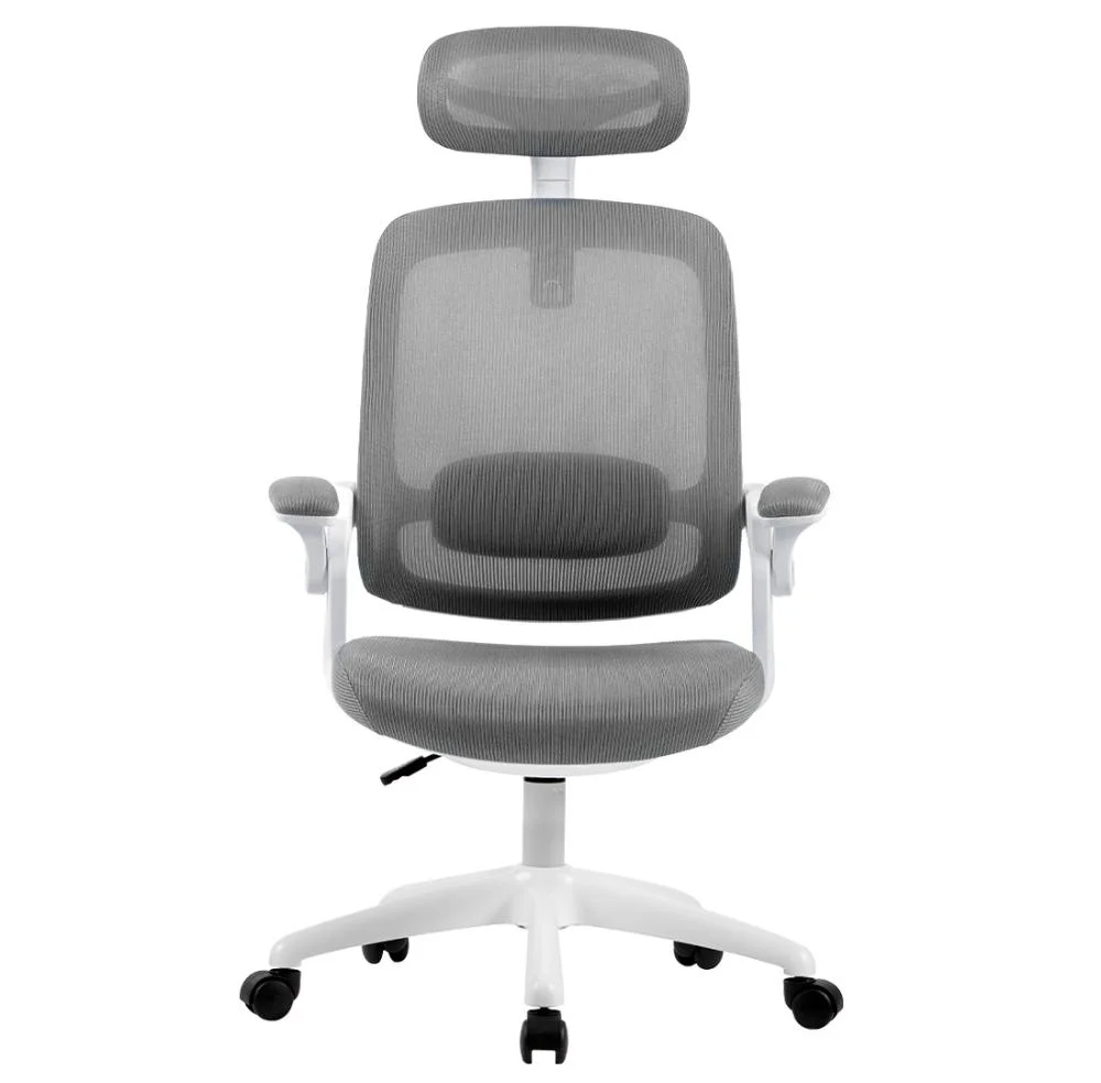 Cadeira De Escritório Elements Astra, Até 100Kg, Ergonômica, Cinza e Branca