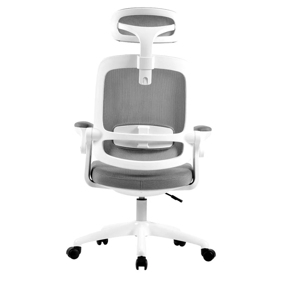 Cadeira De Escritório Elements Astra, Até 100Kg, Ergonômica, Cinza e Branca