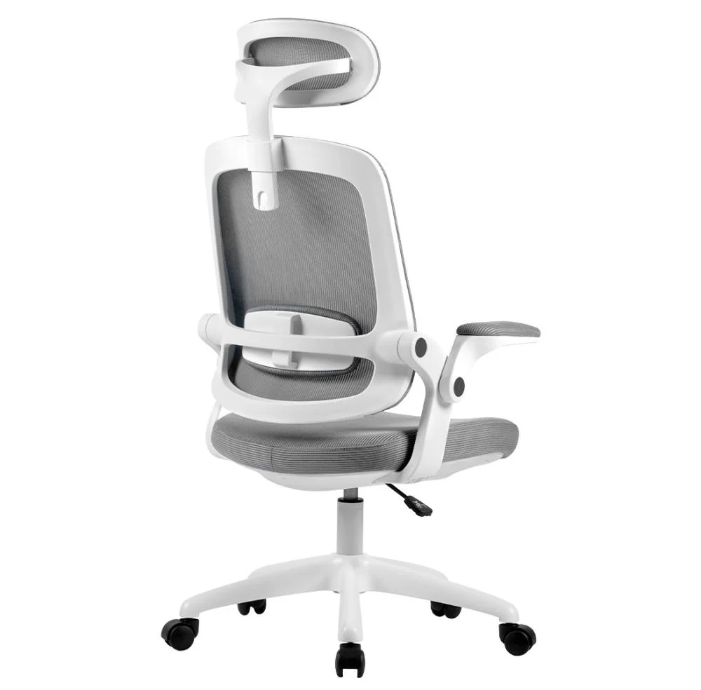 Cadeira De Escritório Elements Astra, Até 100Kg, Ergonômica, Cinza e Branca