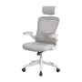 Cadeira De Escritório Ergonômica Giratória Boston G100 Com Mesh Luvinco Com Ajuste Lombar