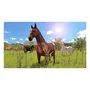 Jogo My Little Riding Champion Ps4