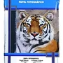 Papel Masterprint Fotografico Glossy 230g A4 50fls Der4.
